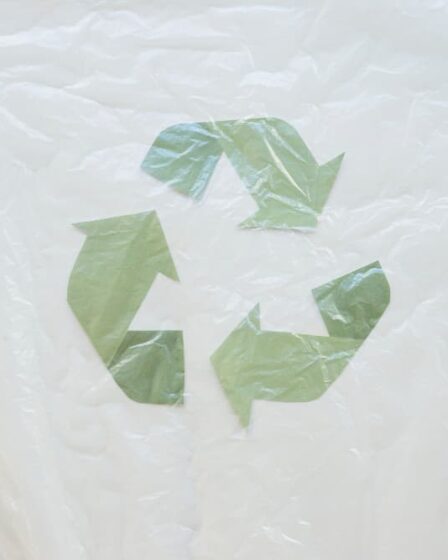 Plástico biodegradável: o futuro das embalagens sustentáveis